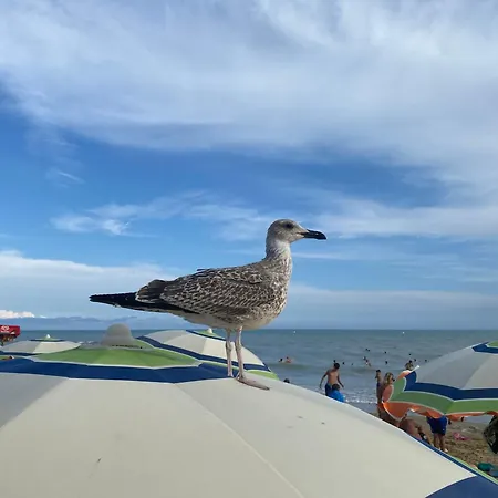 Casa Eva Garden Daire Bibione