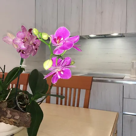 Appartamento Casa Eva Garden *