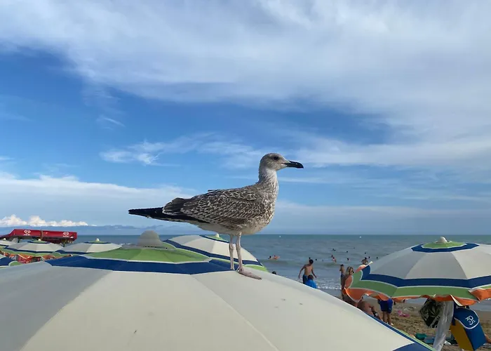 Casa Eva Garden Apartmán Bibione