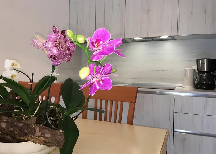 Apartman Casa Eva Garden *